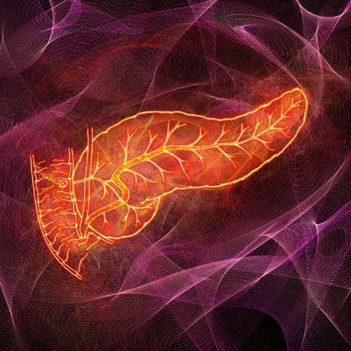 pancreas servicio
